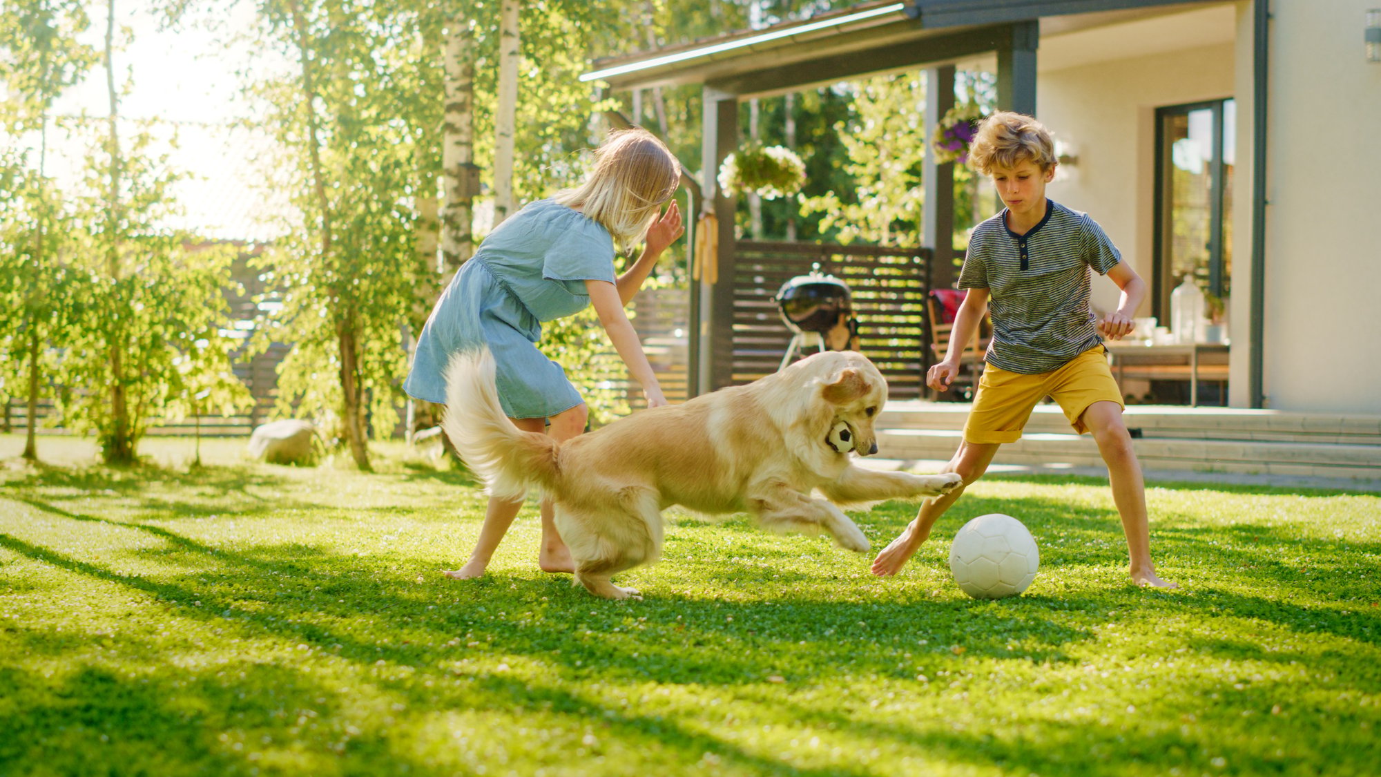 Two Kids playing soccer in yard with dog. Two Kids playing soccer in yard with dog.