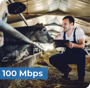 100 Mbps business fiber internet speed